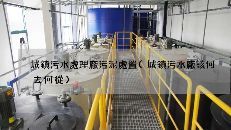 城鎮污水處理廠污泥處置(城鎮污水廠該何去何從)